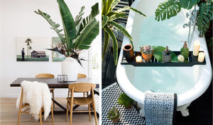 Inspiration: Botanical Interiors 3