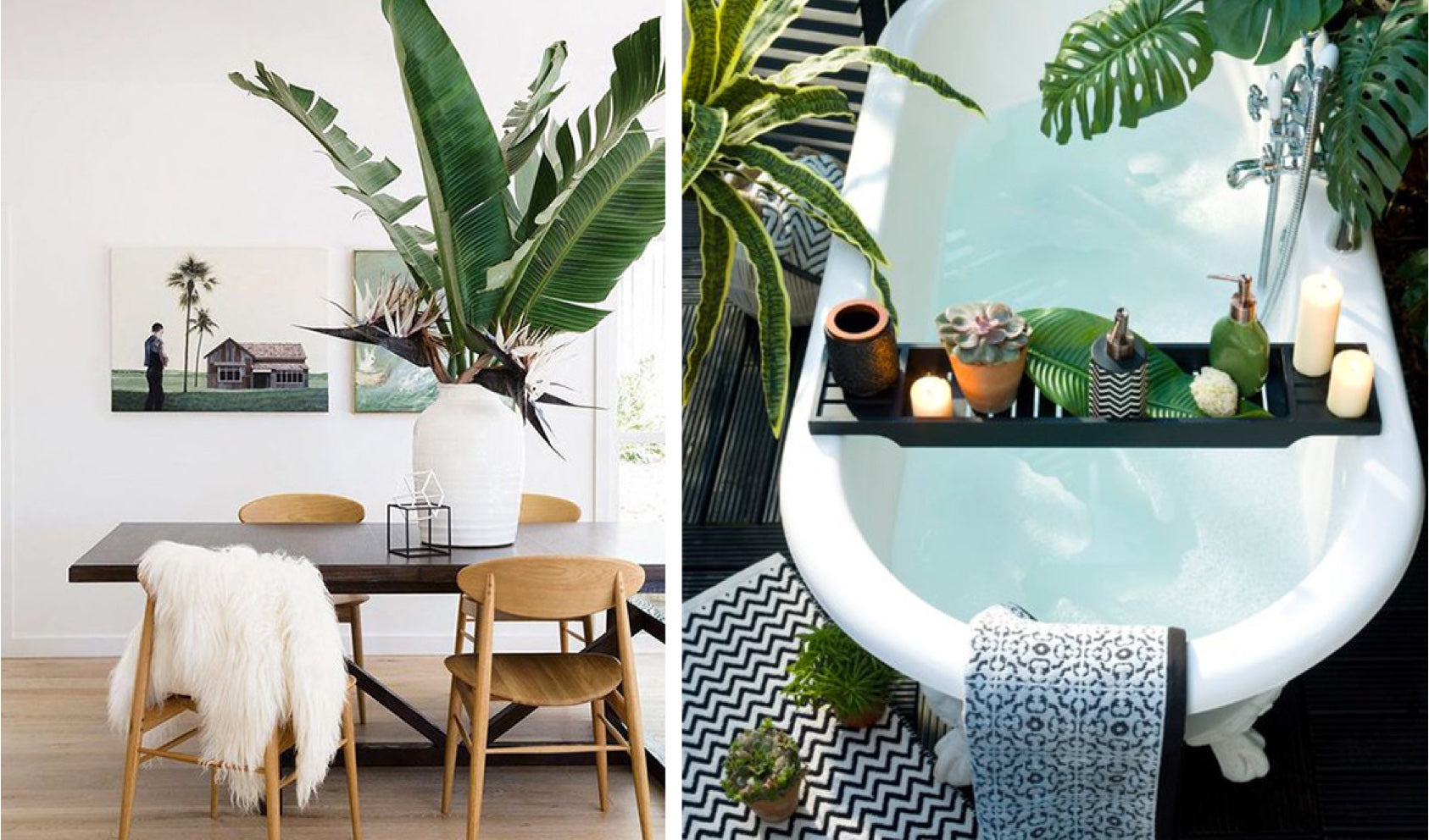 Inspiration: Botanical Interiors 2