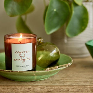 Plum & Ashby - Cypress & Eucalyptus Candle - HAYGEN