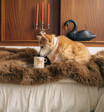 Anna + Nina - Labradoodle Tea Mug