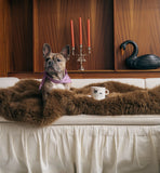 Anna + Nina - French Bulldog Tea Mug