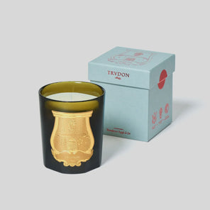 Trudon - Gabriel Candle 270gr Product Image