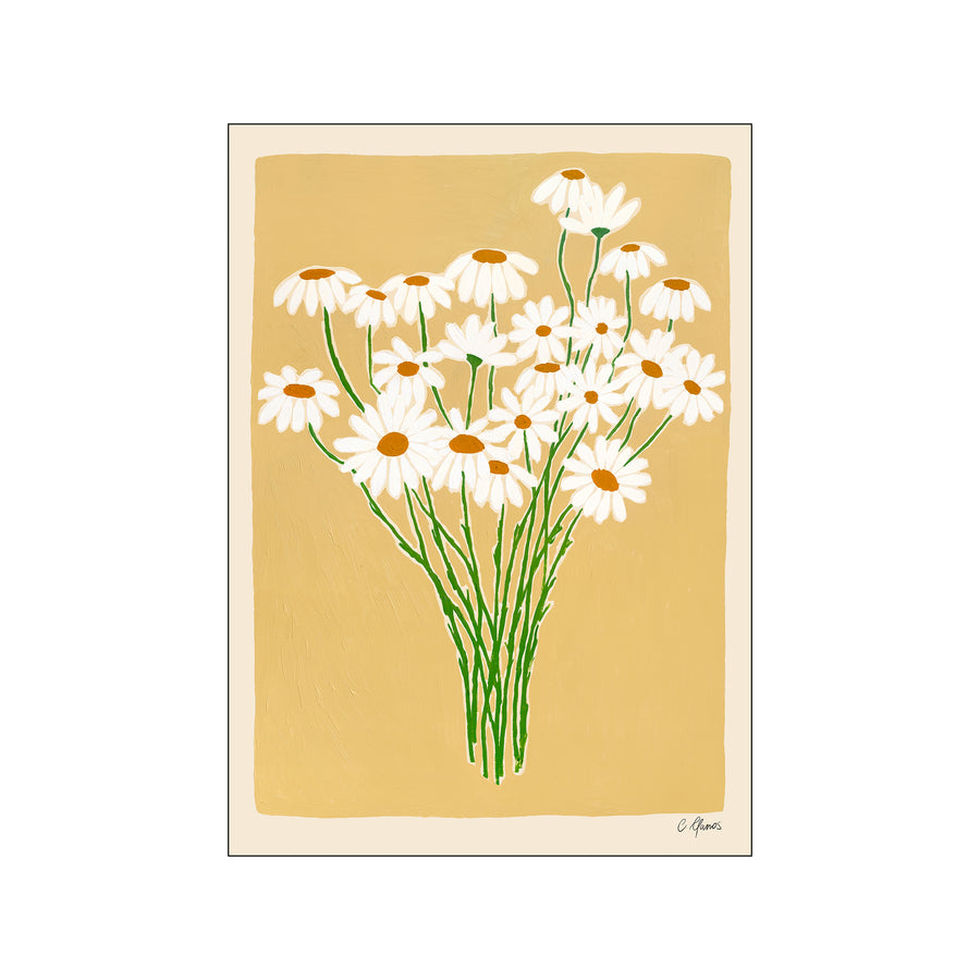 Carla Llanos - Daisies - 30x40cm - HAYGEN