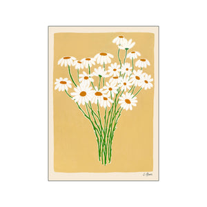 Carla Llanos - Daisies - 30x40cm - HAYGEN