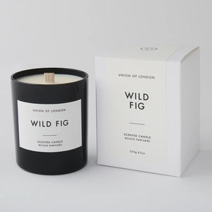 Union of London - Wild Fig - HAYGEN