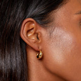 Tapered Domed Hoop Earrings - Gold - HAYGEN