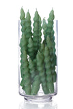 Green spiral candles in a clear glass vase on a white background