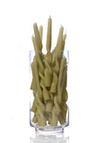 Glass vase filled with twisted green candles on a white background