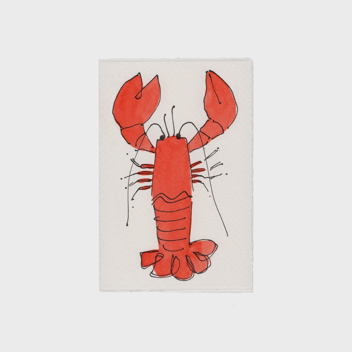 Scribble & Daub - Lobster Valentine Love Card - HAYGEN
