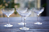 The Vintage List - Set of 6 Champagne Saucers with Ovals design - HAYGEN