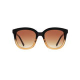 Billy Sunglasses - Black/Brown/Transparent - HAYGEN