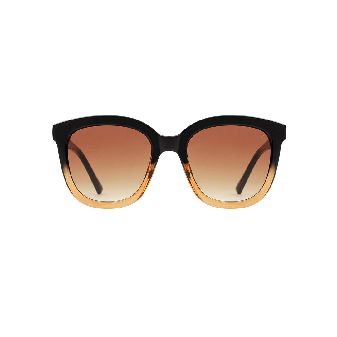 Billy Sunglasses - Black/Brown/Transparent - HAYGEN
