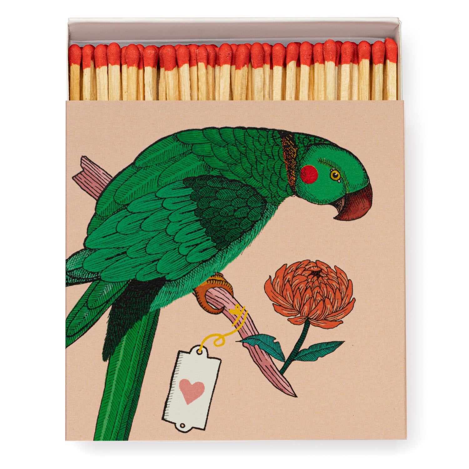 Ariane Parrot Matches - HAYGEN