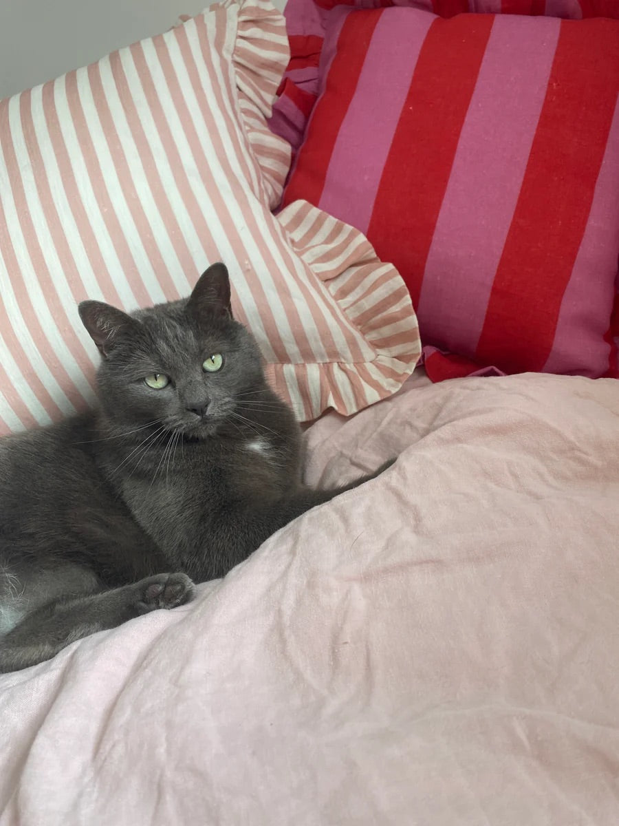 Amuse la Bouche - Blush candy stripe Cushion - HAYGEN
