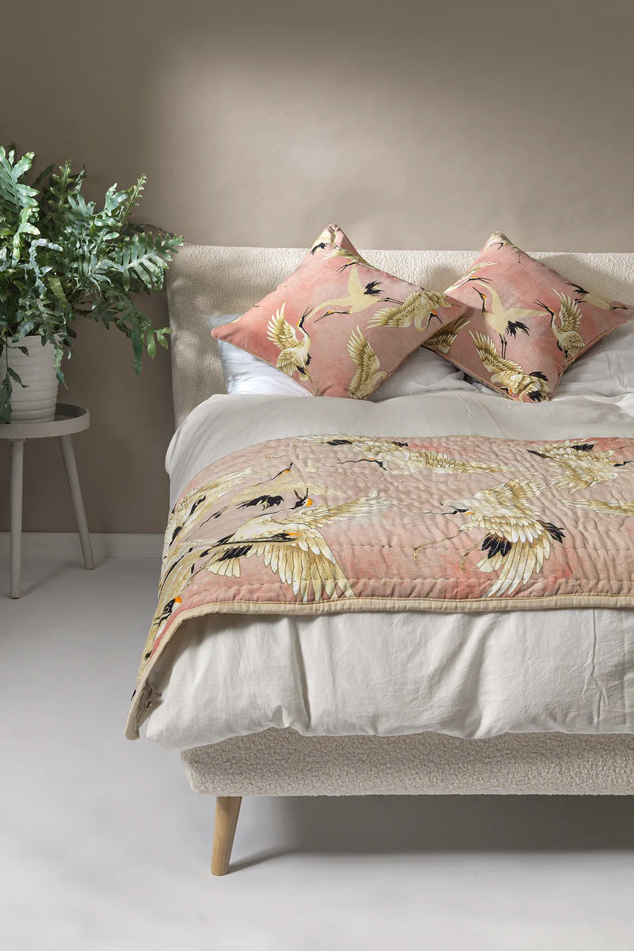One Hundred Stars- Throw Velvet Stork Pink - HAYGEN