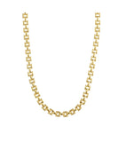 Slim Vintage Link Chain Necklace - Gold - HAYGEN